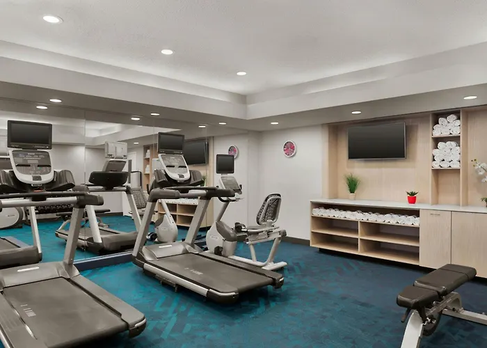 Отель Towneplace By Marriott Chicago Нэпервилл